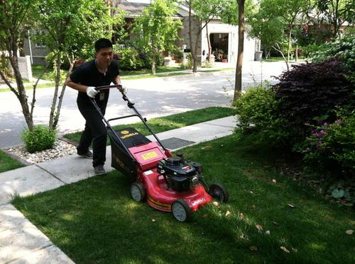 工廠、商務大樓、工業園區、私人企業、電影院、銀行、政府機關、學校、酒店娛樂場所等綠化養護