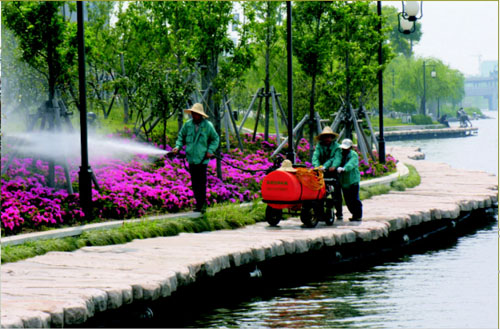 綠化養(yǎng)護 綠化養(yǎng)護